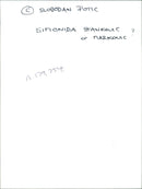 Stankovic Simonida Markovic - Vintage Photograph