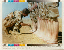 Iraq UN War British Army: - Vintage Photograph