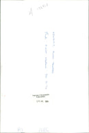 Alton towers: nemesis alton tower. - Vintage Photograph