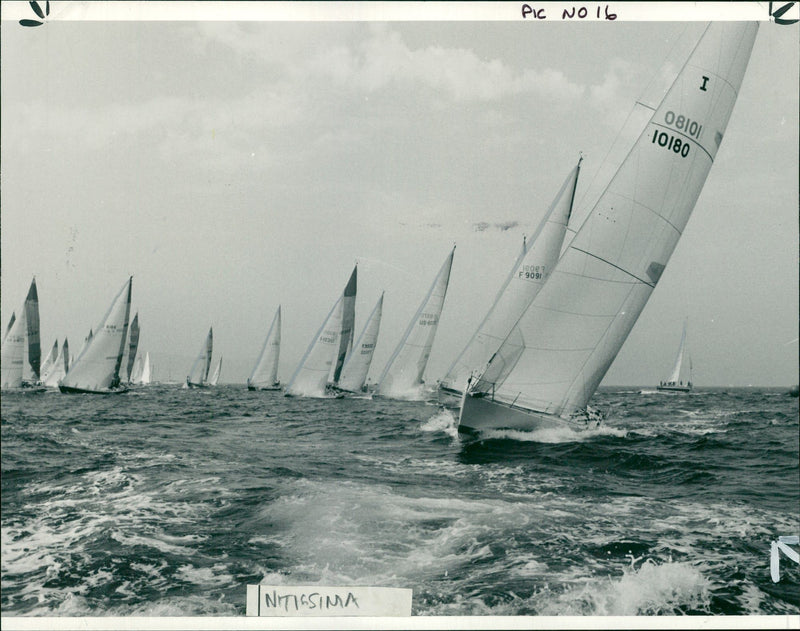 nitissima yacht. - Vintage Photograph