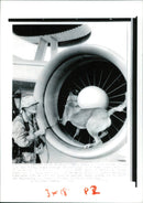 Gulf War:Anna and her Handler Staff. - Vintage Photograph