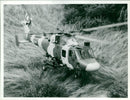 Lynx helicopter:being develop by westland. - Vintage Photograph