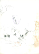 Murdered And Missing Person 1971: - Vintage Photograph