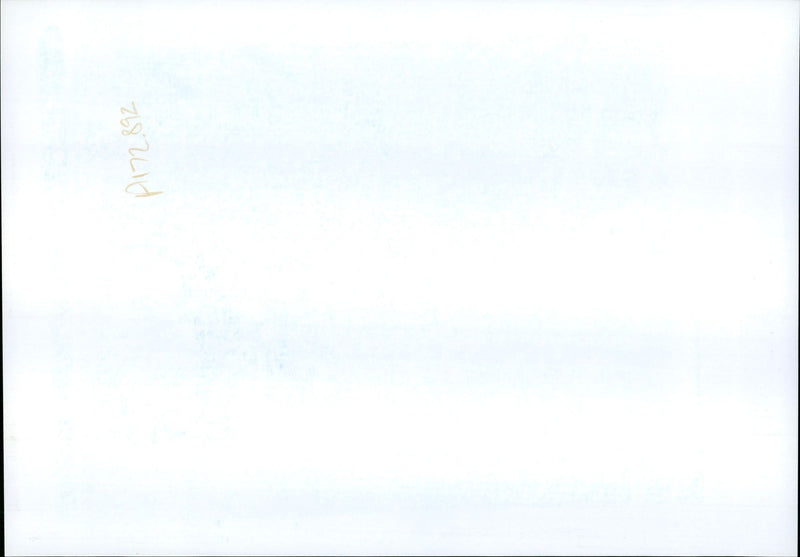 Russia Rock Concerts - Vintage Photograph