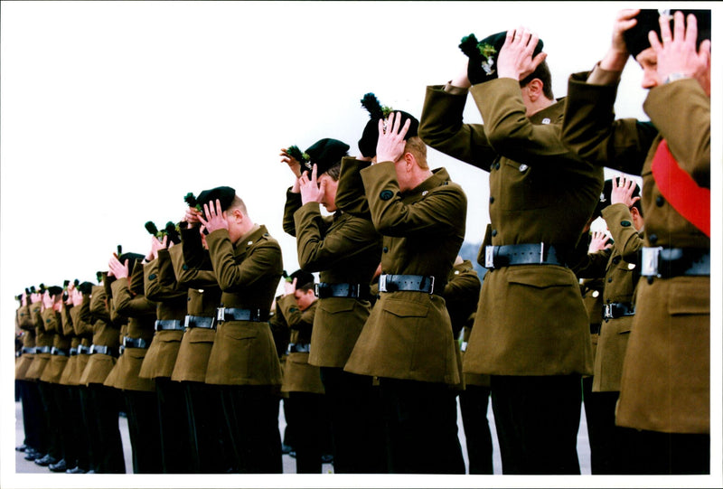 The Royal Irish Rangers celebrated St Patrick's Day - Vintage Photograph