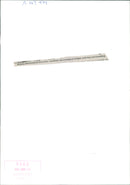 Charles Dickens Writer. - Vintage Photograph