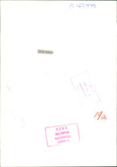 Charles Dickens Writer. - Vintage Photograph