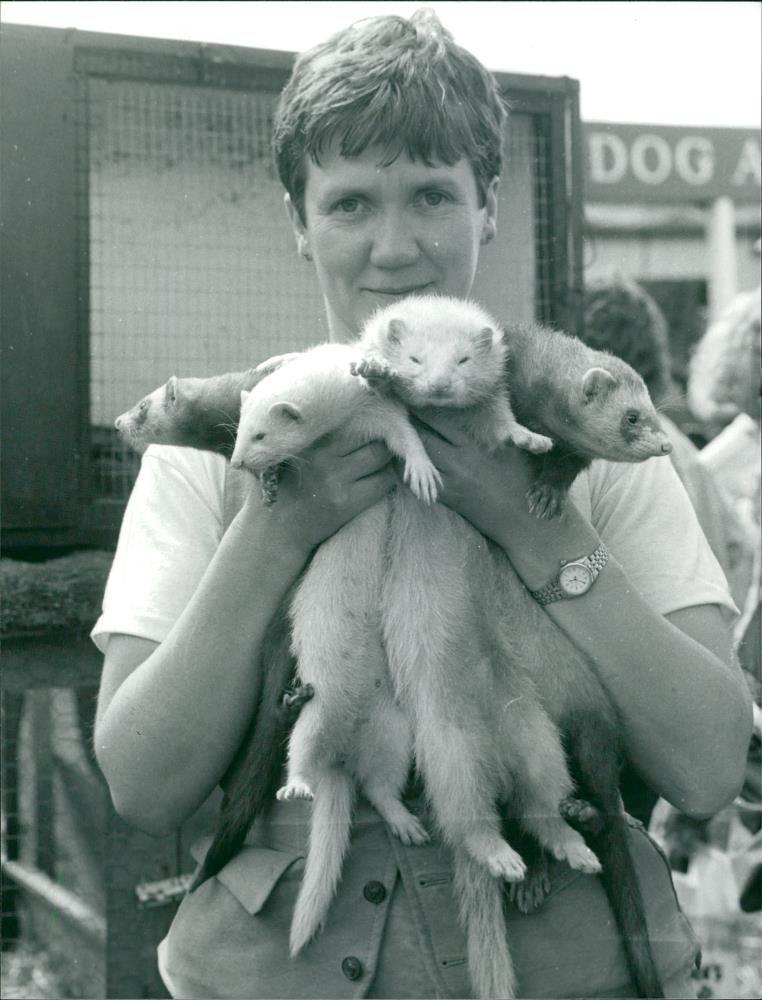 Game Fair:A person holding some animals. - Vintage Photograph