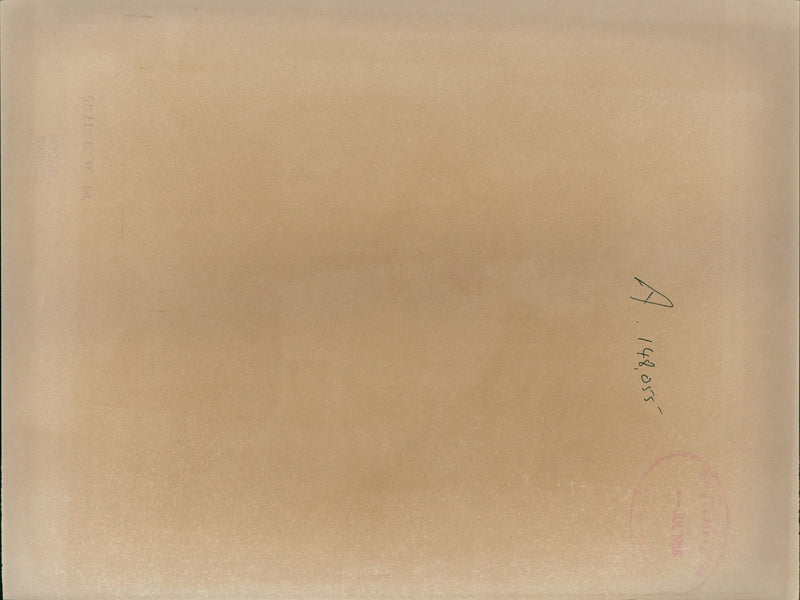 1988 DIANA MAW YEAR RECRUITMENT CONSULTANT WAS FOUND MURDERED YESTERDAY PRESS - Vintage Photograph