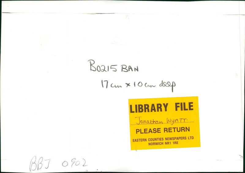 Musician:jonathan wyatt. - Vintage Photograph