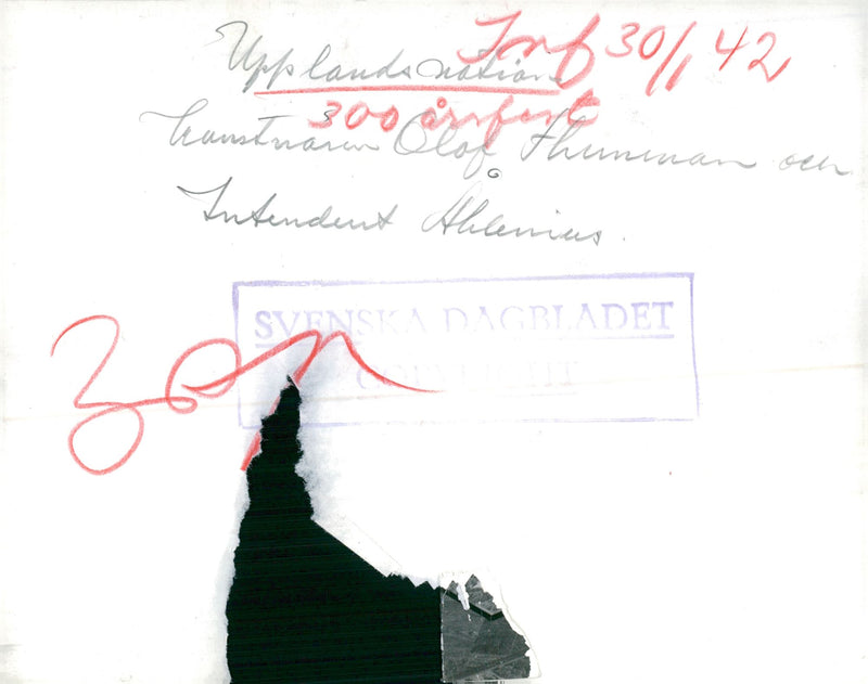 Uplands nation's national landscape at the celebration of the nation's 300th anniversary. - Vintage Photograph