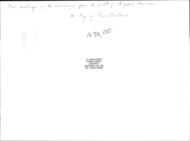 Camargue:flat landscape of the camargue. - Vintage Photograph