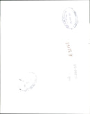 British Island Airways - Vintage Photograph