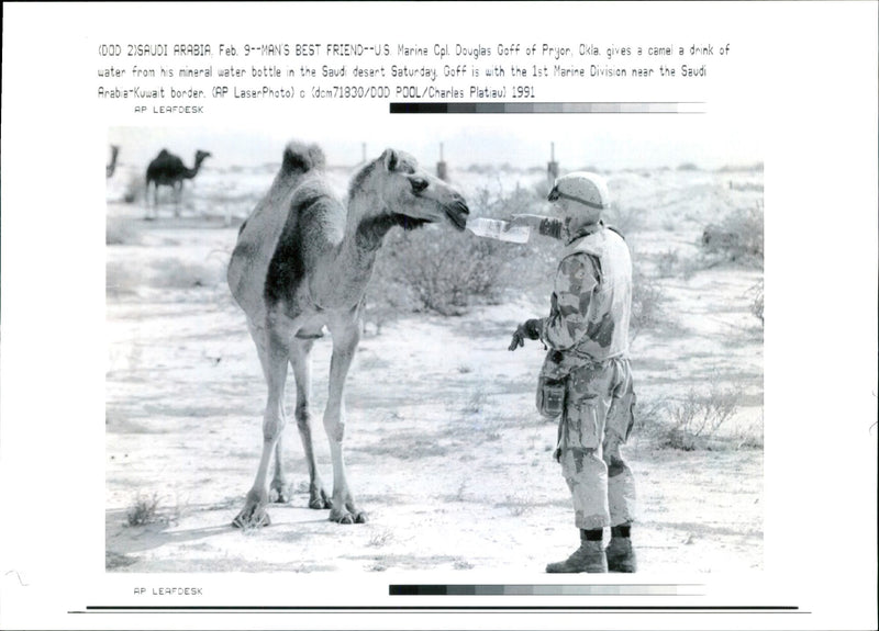 Douglas Goff with a camel. - Vintage Photograph