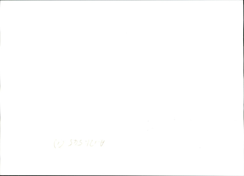 United States Marines. - Vintage Photograph