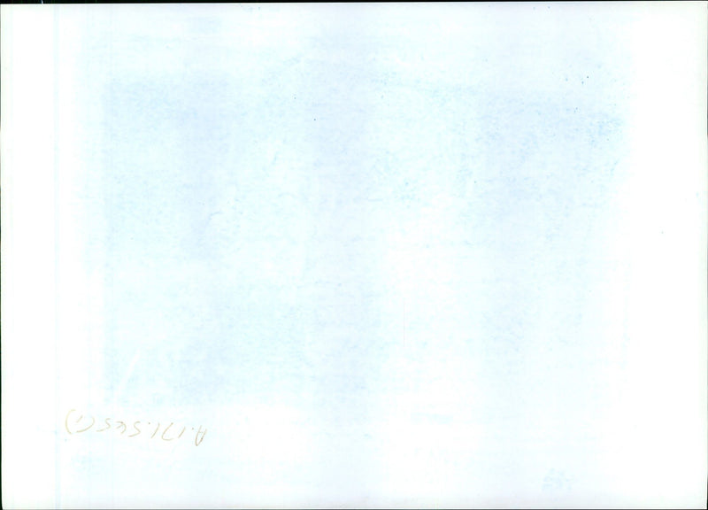 United Sates Marina. - Vintage Photograph