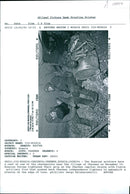 Two Russian soldiers. - Vintage Photograph