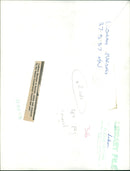 ludham: National Nature Reserve. - Vintage Photograph