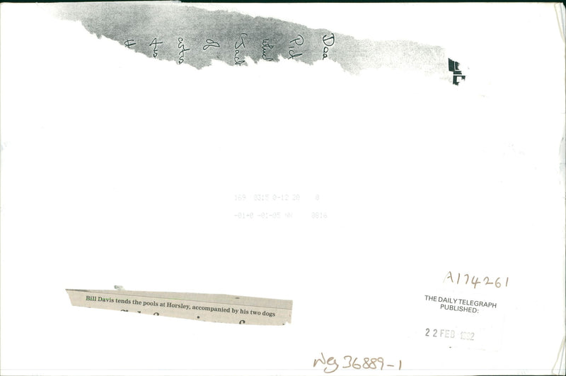 Bill Davis. - Vintage Photograph