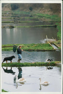 Bill Davis. - Vintage Photograph