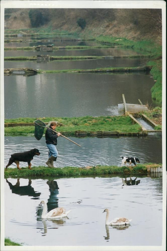 Bill Davis. - Vintage Photograph