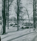StrÃ¤ngnÃ¤s winter landscape - Vintage Photograph