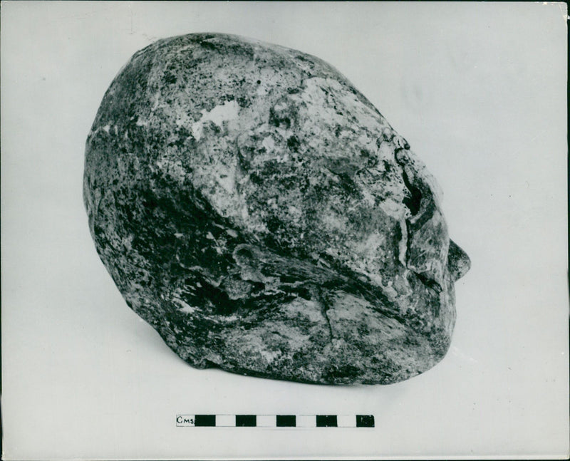 Archaeological findings:a group of sculptured heads dating. - Vintage Photograph