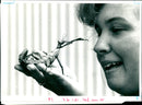 Stick Insect: - Vintage Photograph