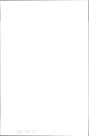 Stick Insect: - Vintage Photograph