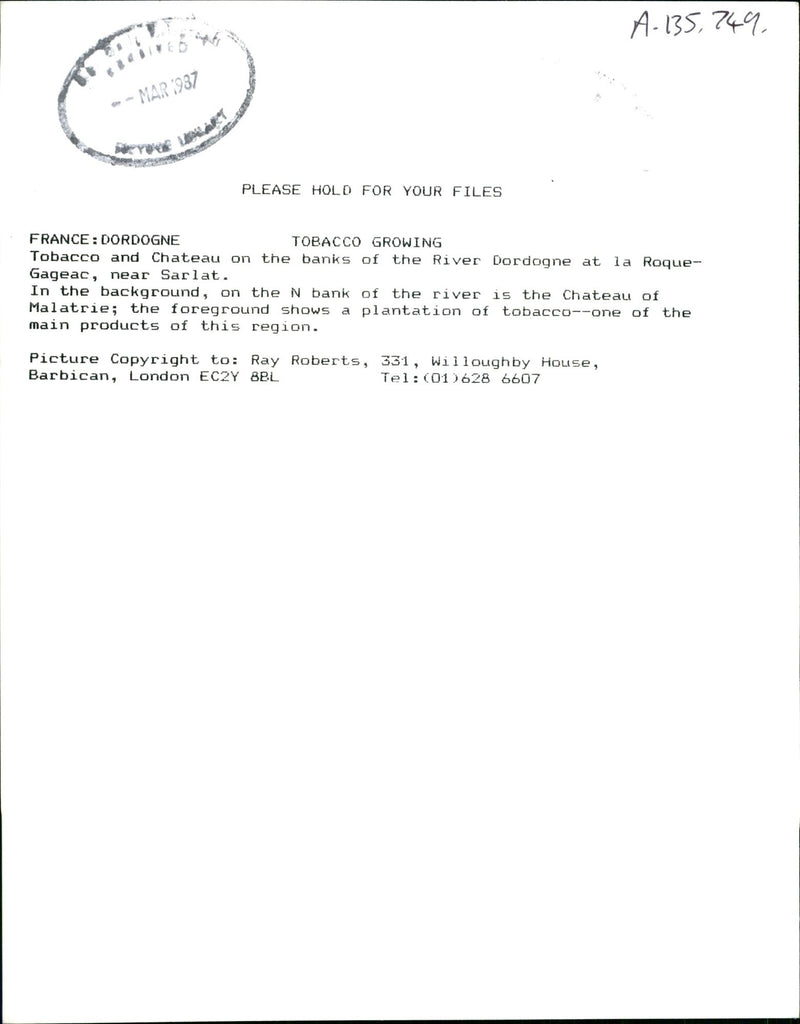 Tobacco and Chateau. - Vintage Photograph