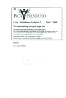 John Irving, American writer - Vintage Photograph