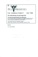 John Irving, American writer - Vintage Photograph