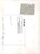 John Irving, American writer - Vintage Photograph