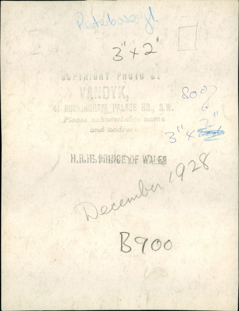 Edward, Prince of Wales - Vintage Photograph