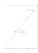 Hua Guofeng Politician China Miscellaneous: Chinese Communist Party - Vintage Photograph