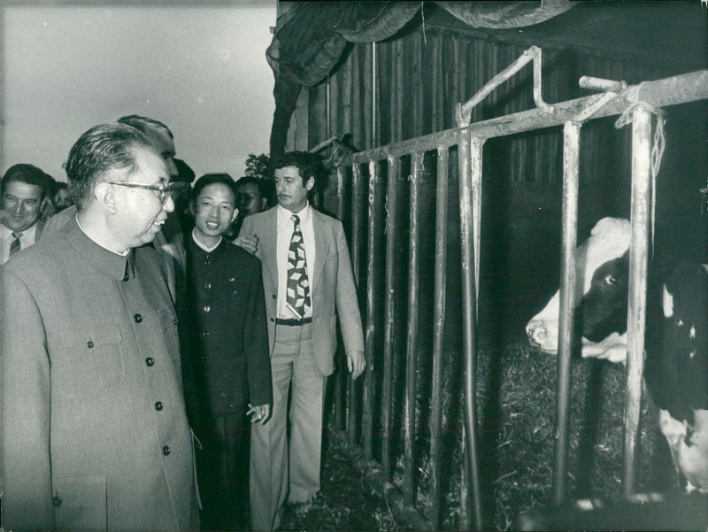 Hua Guofeng Politician China Miscellaneous: - Vintage Photograph