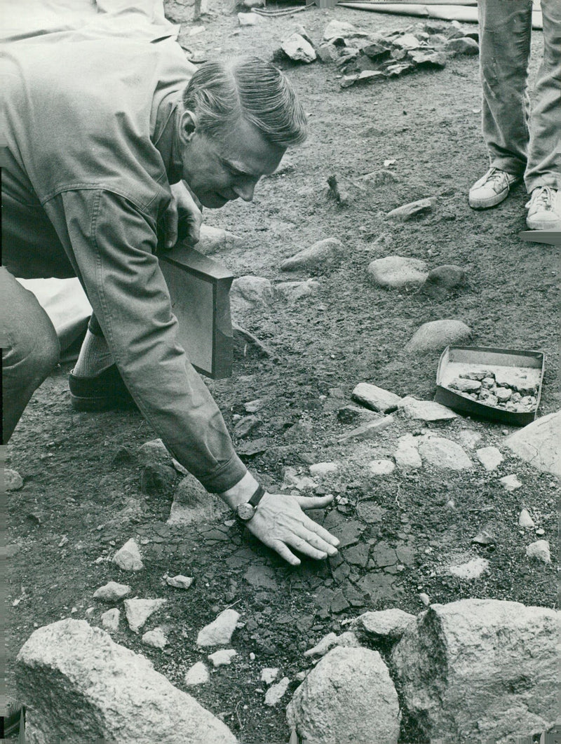 Professor Wilhelm Holmqvist, State Historical Museum - Vintage Photograph