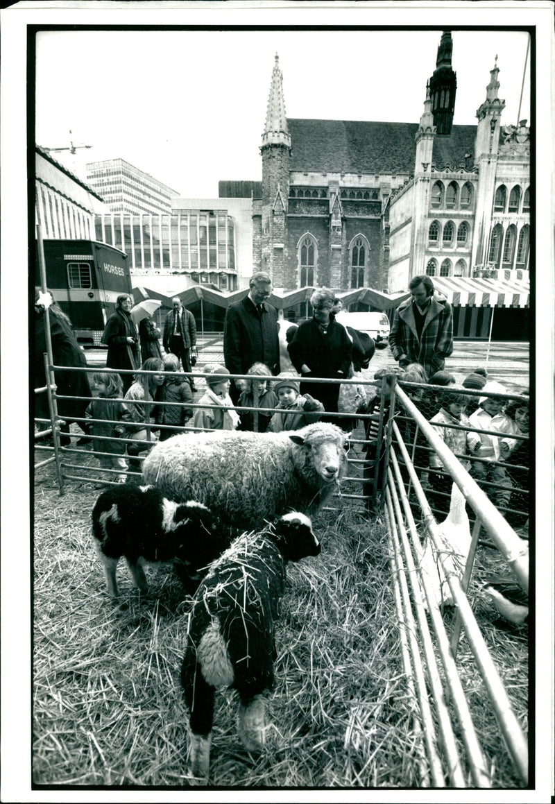 Animal in the city. - Vintage Photograph