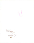 Simply Red:Mick Hucknall. - Vintage Photograph