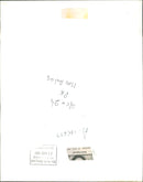 Simply Red: Mick Hucknall. - Vintage Photograph