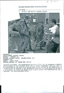 Lebanon Demo's - Vintage Photograph