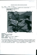 Lebanon Demo's - Vintage Photograph