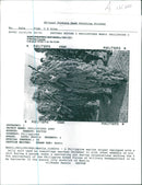 Philippine Army - Vintage Photograph