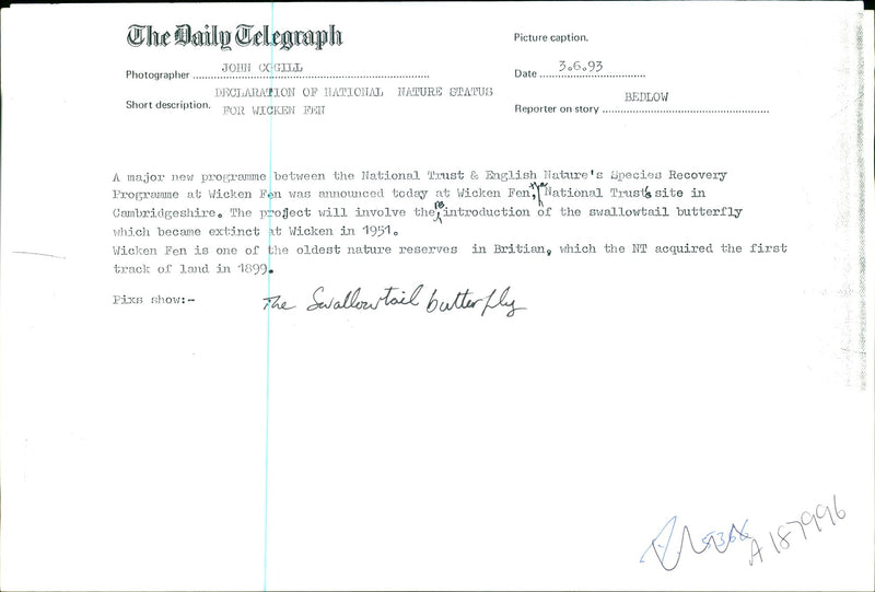Butterflies:declaration national nature status of wicken fen. - Vintage Photograph