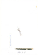 Butterflies:the wood wide is also dying at an alarming rate. - Vintage Photograph