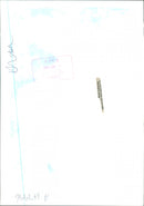 Butterflies:white admirals. - Vintage Photograph