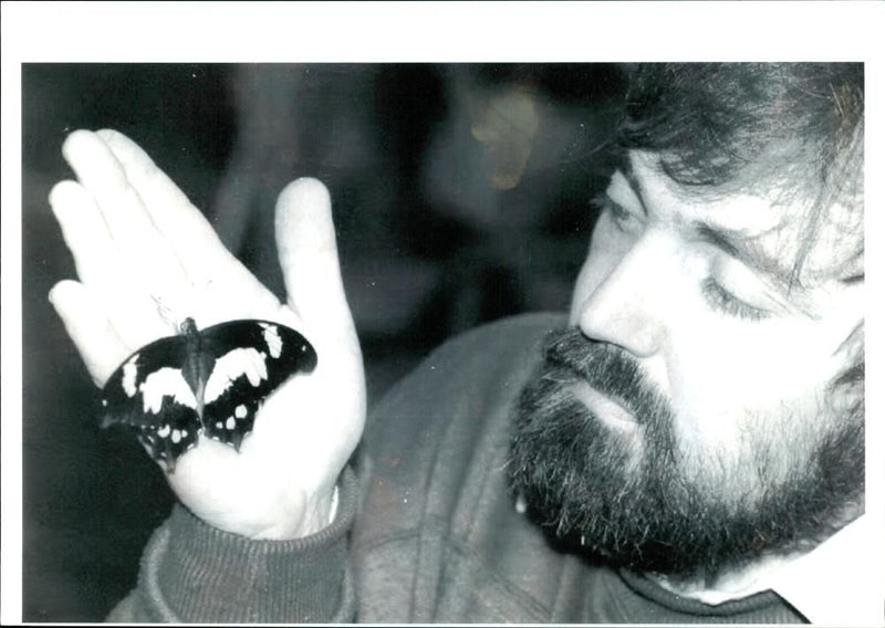 Butterflies:ditchburn malawi. - Vintage Photograph