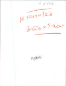 Butterflies: - Vintage Photograph