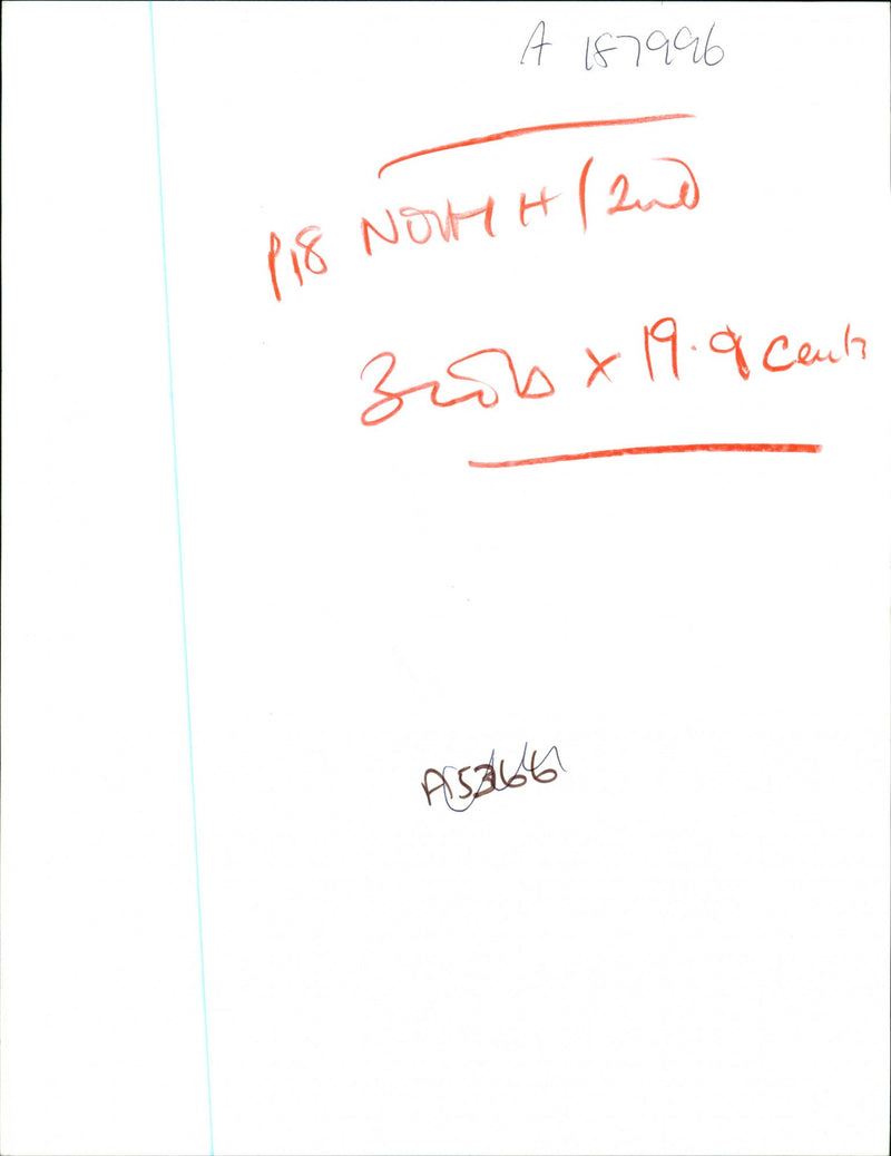 Butterflies: - Vintage Photograph