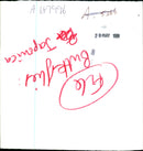 Butterflies: - Vintage Photograph